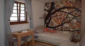 Apartments Sport House Novakovic - Image 5
