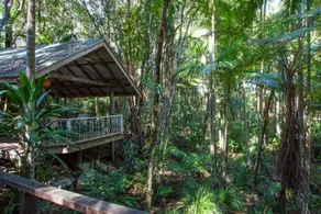 La Damia Retreat and Accommodation - Image 5