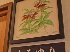 Hakusanen - Image 3