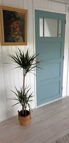 B&B Beemsterlust - Image 3