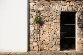 Thesuites Ibiza Can Basso - Image 2