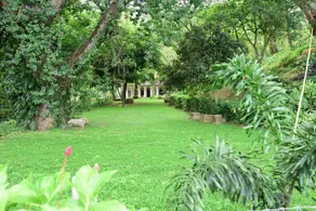 Jasmine Aura - Image 5