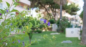Apartamento Mar y Sol en Benalmadena - Image 3