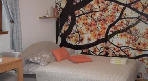 Apartments Sport House Novakovic - Image 2
