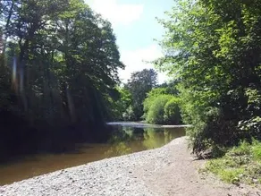 RIVER SHACK - Image 3