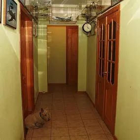 Home Hostel Kiev - Image 2