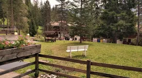 Miniappartamento Nelle Dolomiti - Image 3