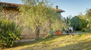 Tuscan Roots - Image 4