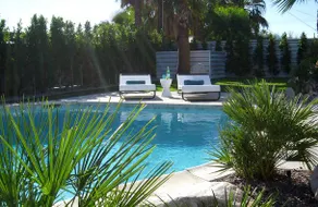 Palm Springs Butterfly Estate - Image 5