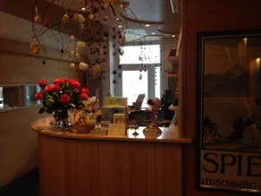 Hotel Bellevue Wengen - Image 3