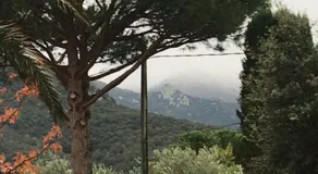 Mas de la Vieille Vigne - Image 2