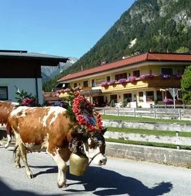 Pension Elisabeth - Image 4