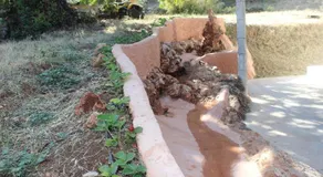 Alojamiento Rural Alfaguara - Image 5