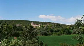 Mas de San Feliu - Image 4