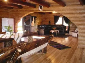 Cabana Vultur - Image 2