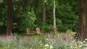 Wyldflower B&B - Image 2