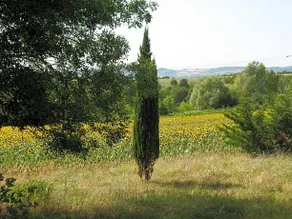 Chambre D'hôtes Au Pigeonnier De Quittimont - Image 2