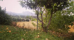 Les Valletes - Image 5