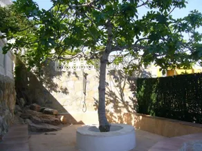 Casa Marina - Image 5
