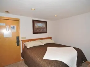 RedAwning Peak 9 Inn- Liftside 4209 - Image 3
