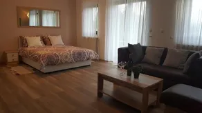 House Tudic - Image 4