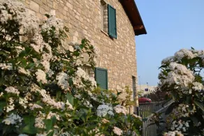 Bed&Breakfast La Petite Maison - Image 2