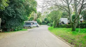 Remuera Motor Lodge - Image 2