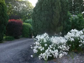 Castleview Farm Bed & Breakfast - Image 4