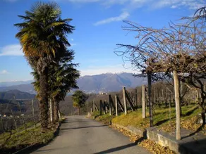 Agriturismo Azienda Viti-Vinicola Hostettler - Image 2