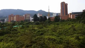 Flat In El Poblado - Image 5