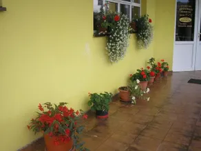 Pensiunea Colina - Image 5