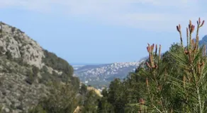 *Casa Anna L'Atzubia - Image 2