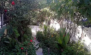 Ozdere Yaseminin Misafirhanesi - Image 4