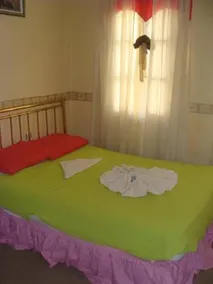 Alika - Image 3