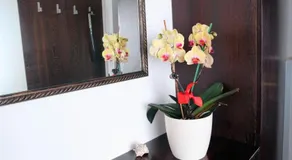 Apartment with Sauna and Garden - Image 5