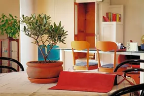 Ai Quattro Ulivi  Bed & Breakfast - Image 3