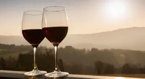 Aneta Hotel & Restaurant - Image 4