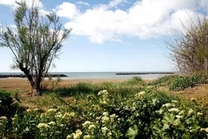 Residence les Sables D'Or - Image 4