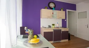 Gaston Luxury Apartment - Image 3
