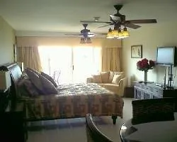 SUPERIOR STUDIO CONDO - PRI 8491 - Image 3