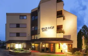 Hotel Erlenhof - Image 3