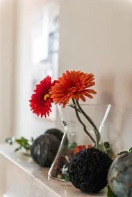 B&B De Perenboom - Image 3