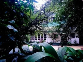 Surrey Bird Sanctuary & Holiday Resort - Image 5