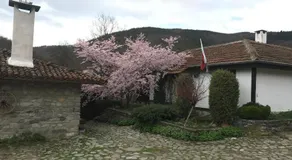 Hotel Divetsite - Image 3