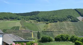 Wein & Gästehaus Ballmann - Image 5