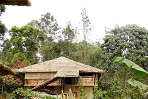 Ecotones Munnar - Image 3