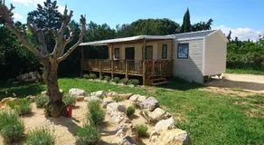 PLF Holidays - Image 2