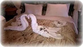 Nefeli Guesthouse - Image 5