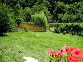 House Lomar - Image 4