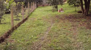 Sítio Iracema - Image 5